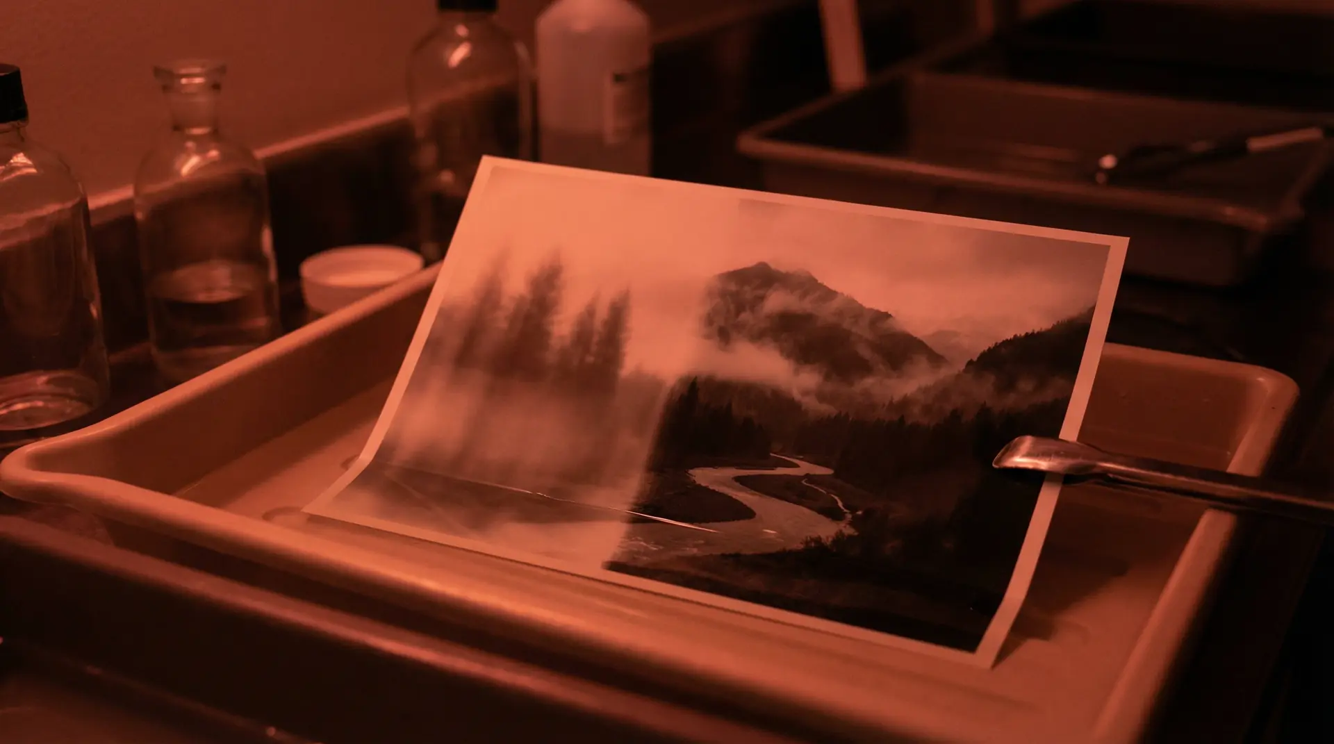 黄色软件大全下载18 APP下载背景